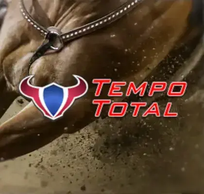 Tempo Total